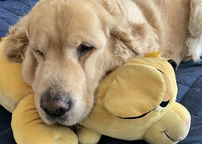 בית הארחה L'oree Du Mont Proche Du Mont Saint Michel 3*